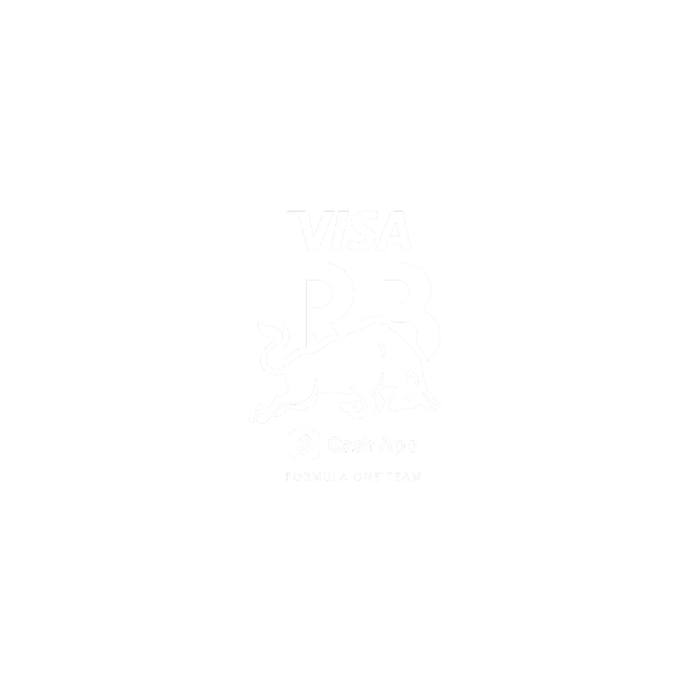 visa_rb